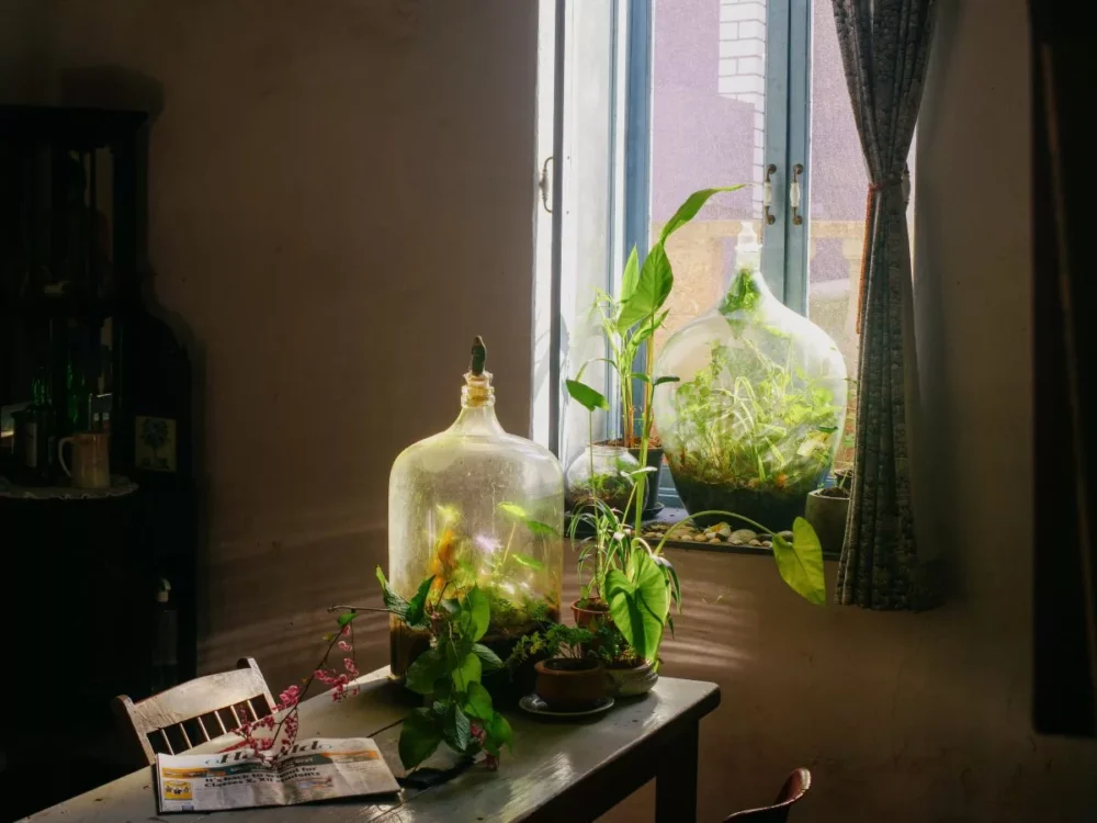 The Treasures We Hold Close