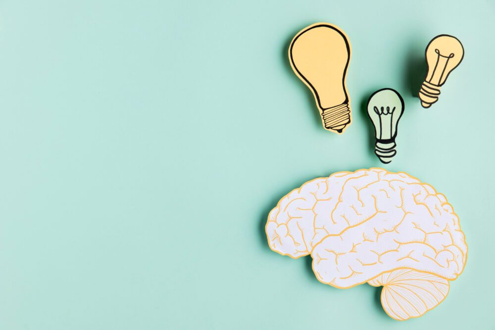 The Role of Emotional and Cognitive Shortcuts in Financial Decision-Making